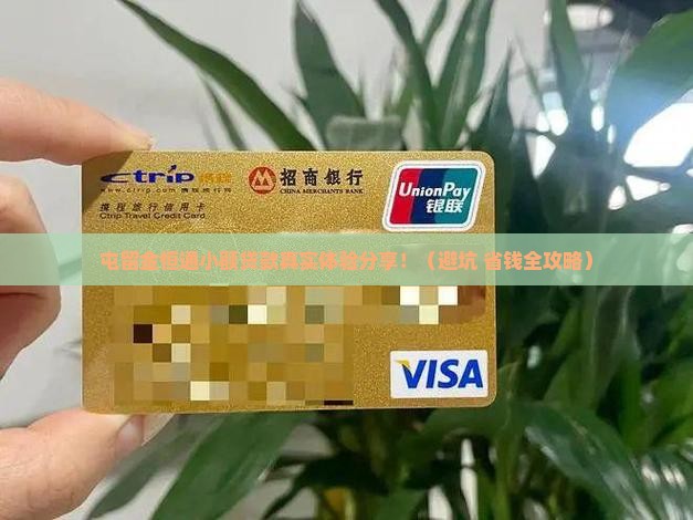 屯留金恒通小额贷款