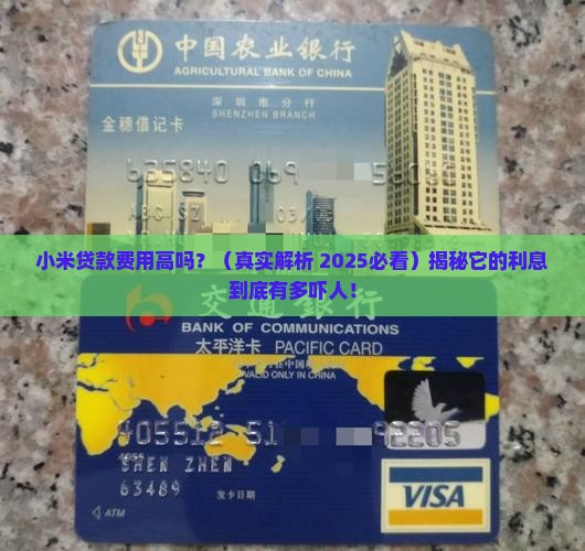 小米贷款费用高吗