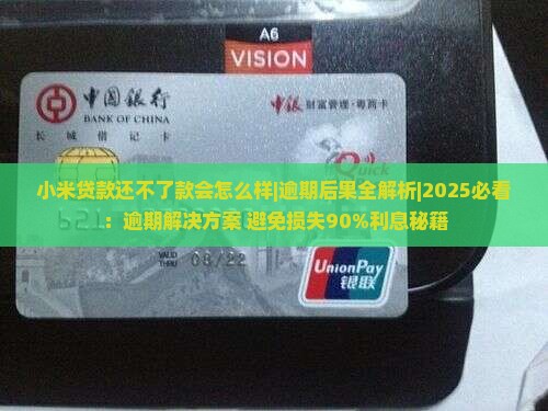 小米贷款还不了款会怎么样