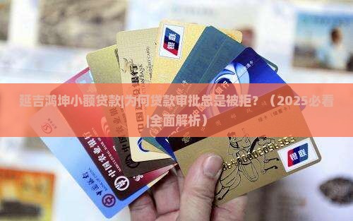 延吉鸿坤小额贷款