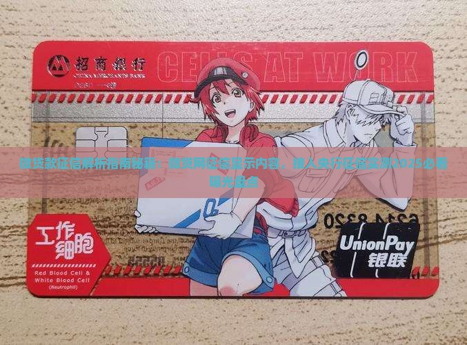 微贷款征信