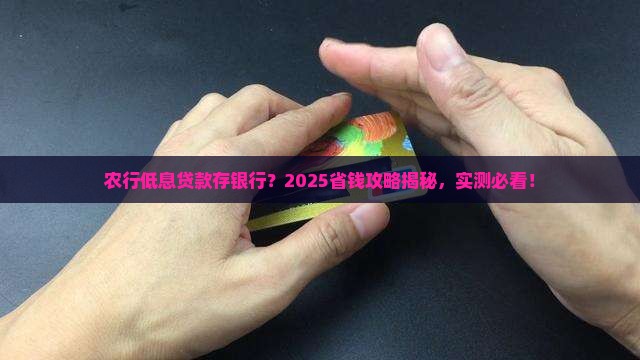 农行低息贷款存银行