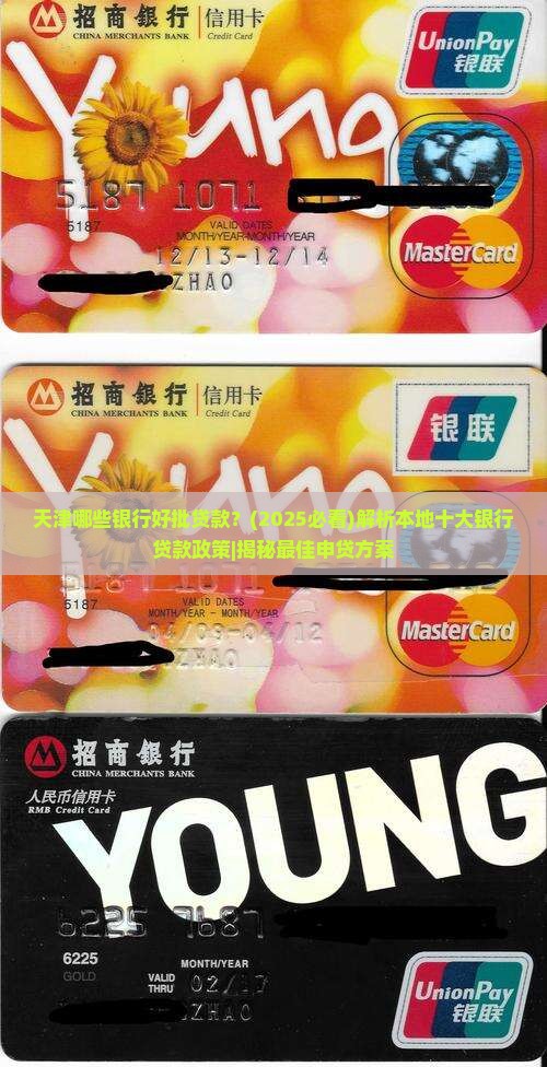 天津哪些银行好批贷款