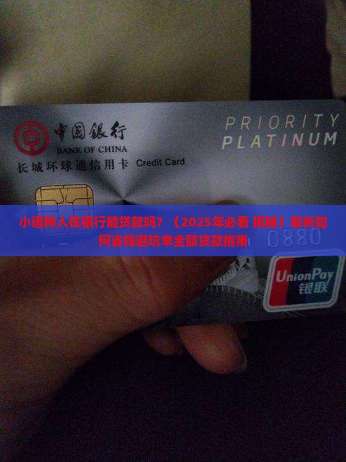 小语种人在银行能贷款吗