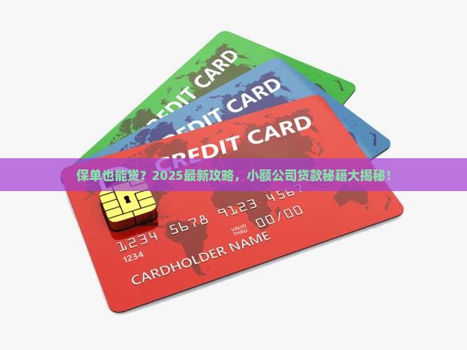 小额公司贷款用保单
