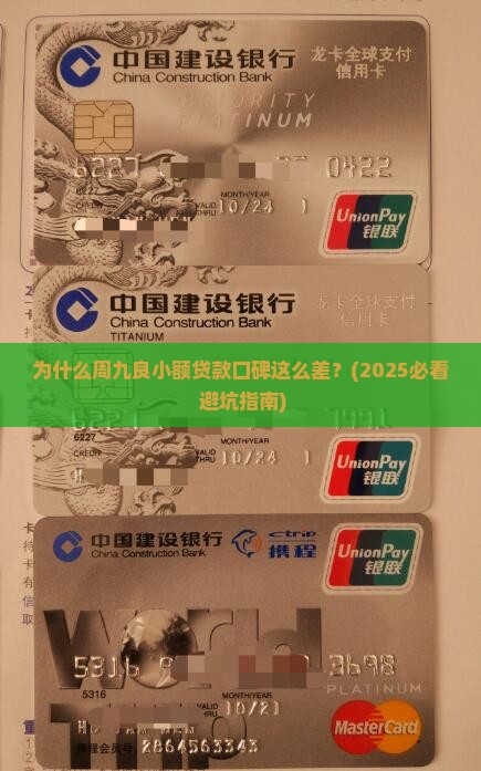 周九良小额贷款