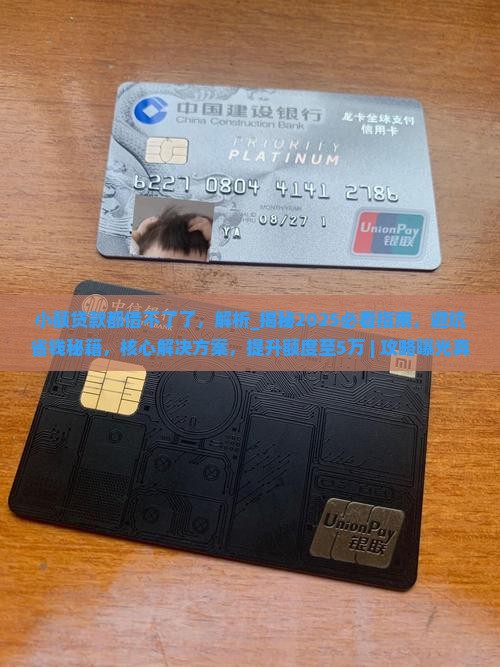 小额贷款都借不了了