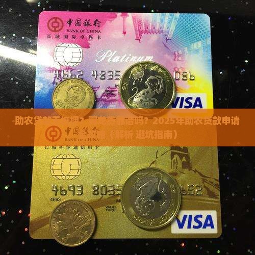 助农贷款无抵押翼龙贷