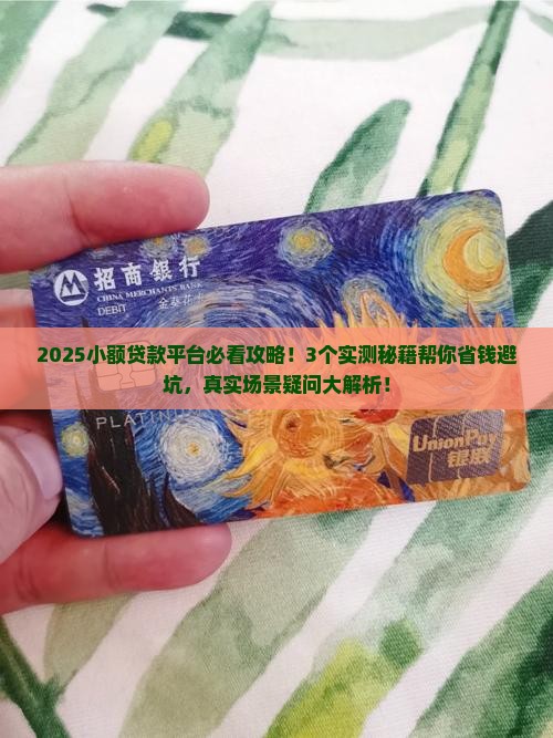 小额贷款平台好意见