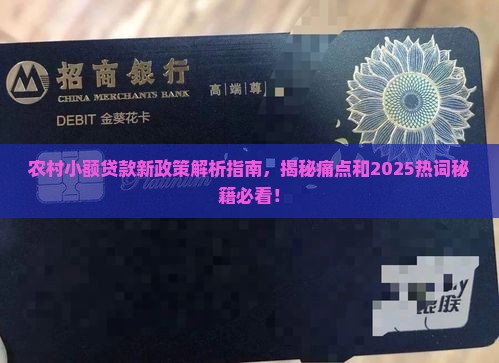 农村小额贷款新政策