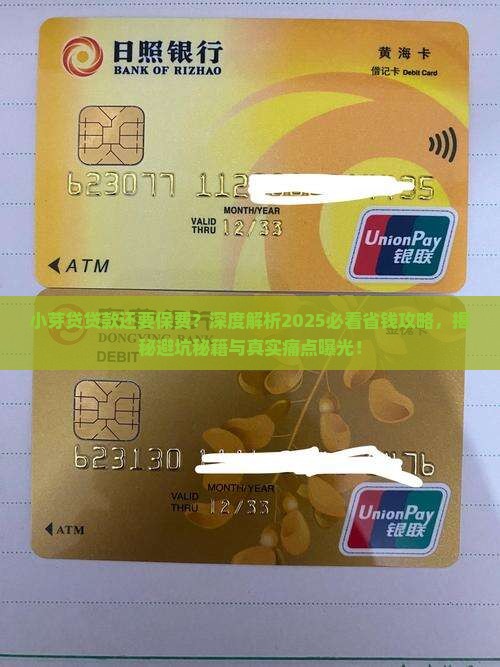 小芽贷贷款还要保费