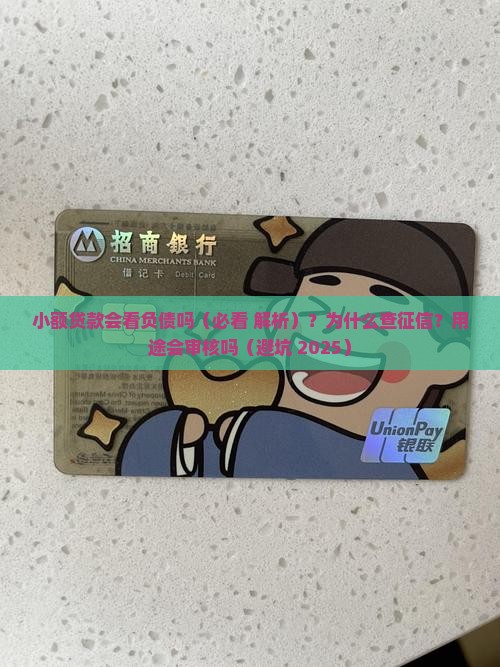 小额贷款会看负债吗