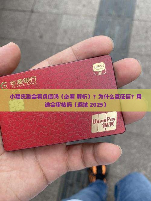 小额贷款会看负债吗