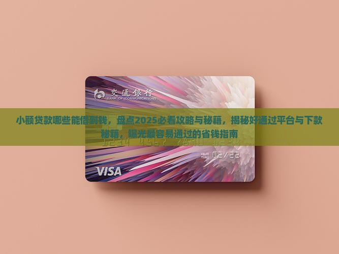 小额贷款哪些能借到钱