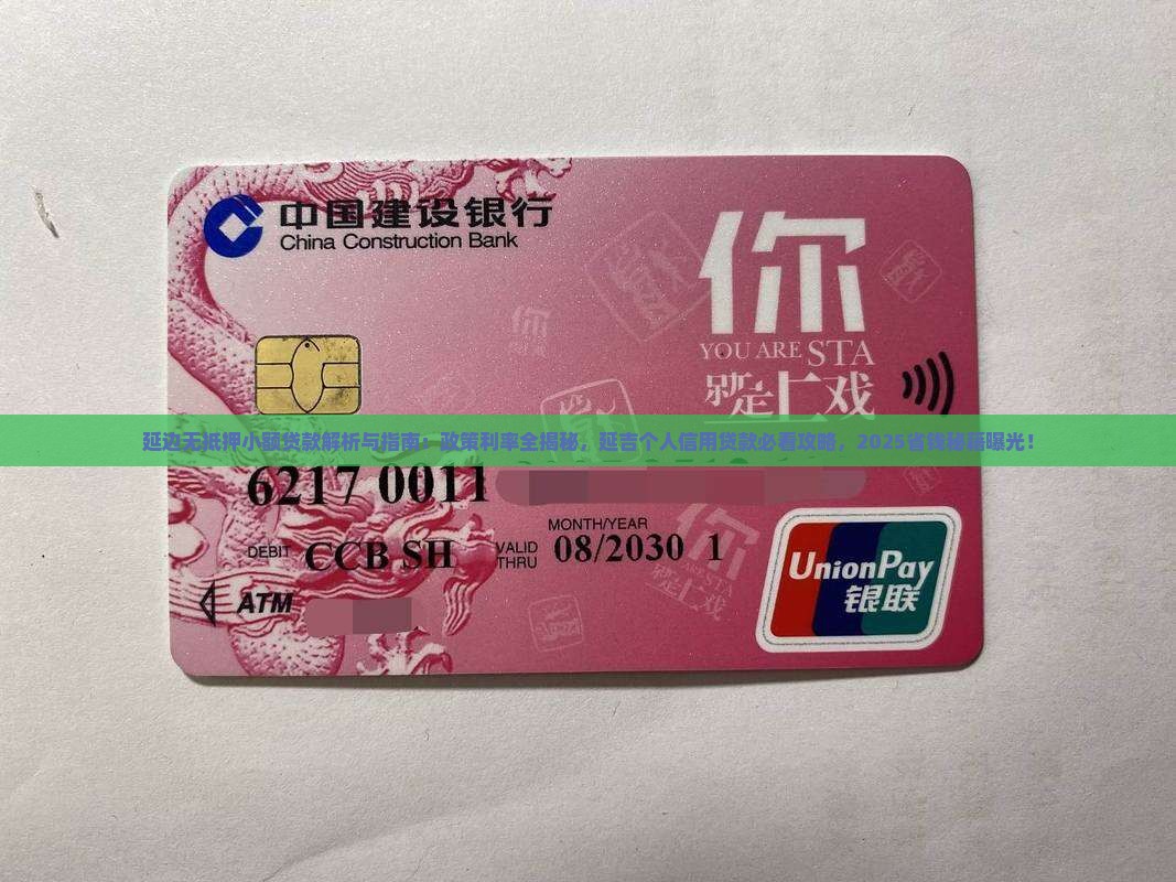 延边无抵押小额贷款