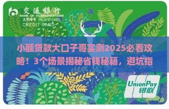 小额贷款大口子哥
