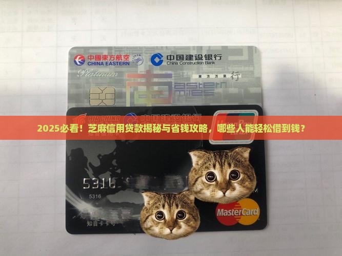 哪些能用芝麻信用贷款