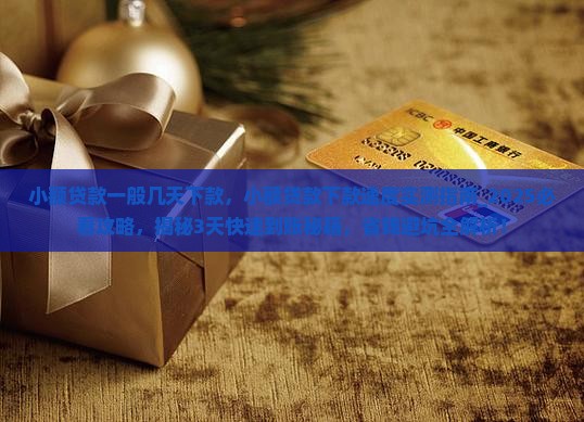 小额贷款一般几天下款