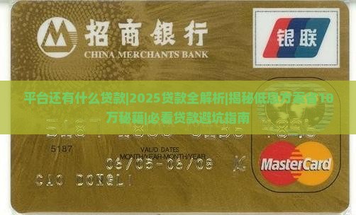 平台还有什么贷款