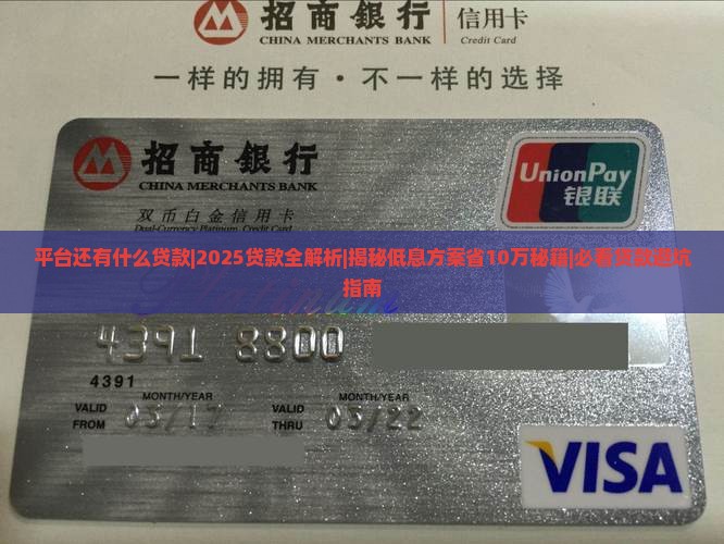 平台还有什么贷款