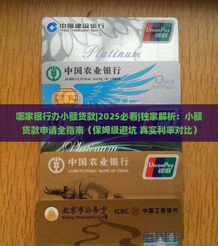 哪家银行办小额贷款