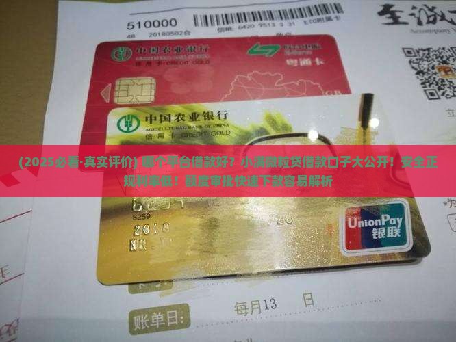 哪个平台贷款好贷下来的