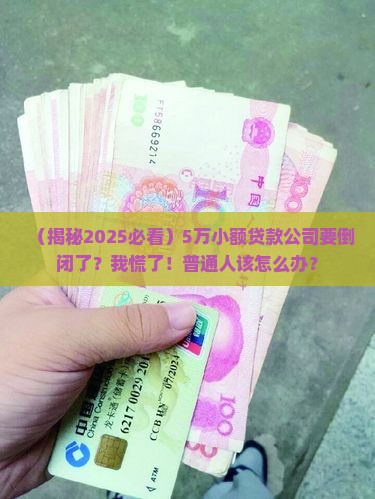 小额信用贷款要倒闭