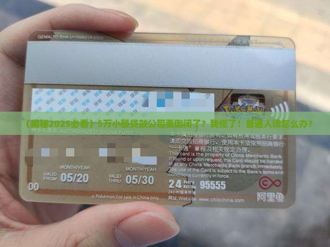 小额信用贷款要倒闭
