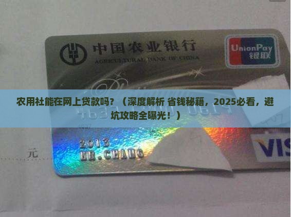 农用社能在网上贷款吗