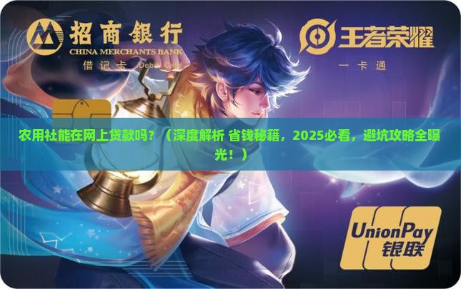 农用社能在网上贷款吗