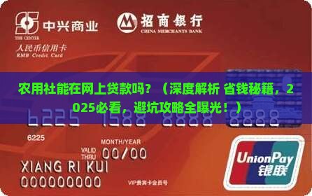 农用社能在网上贷款吗