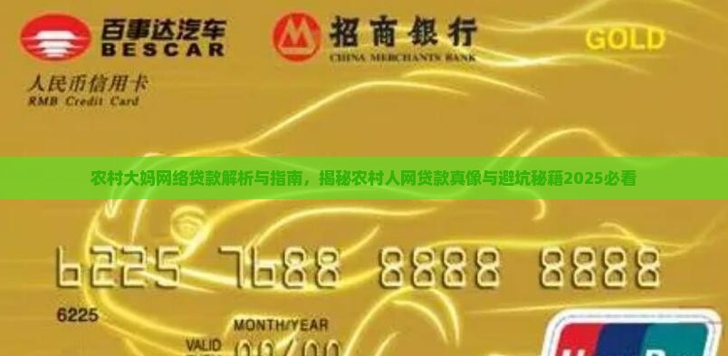 农村大妈网络贷款