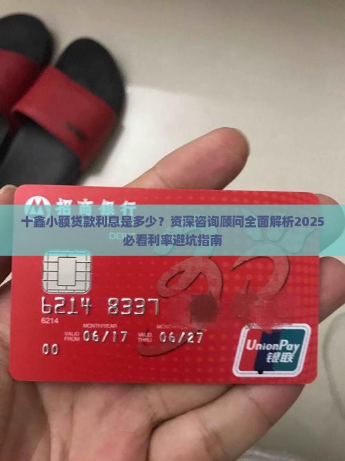 十鑫小额贷款怎么样啊利息多少
