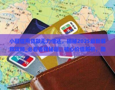 小额信用贷款无力偿还