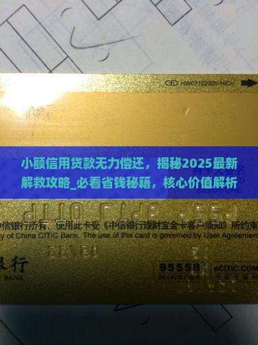 小额信用贷款无力偿还