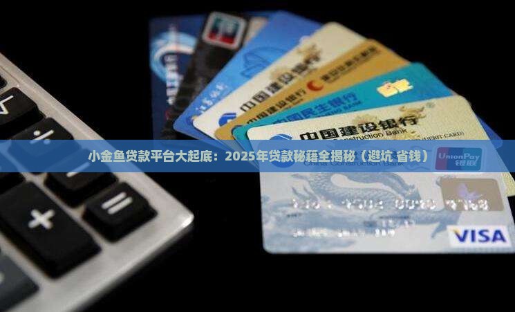 小金鱼贷款平台