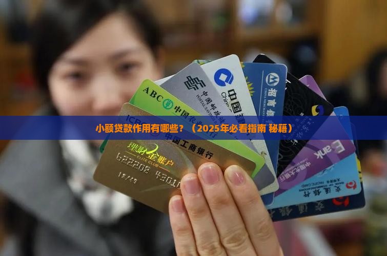小额贷款作用有哪些