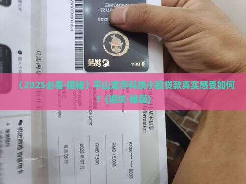 平山龙乔科技小额贷款