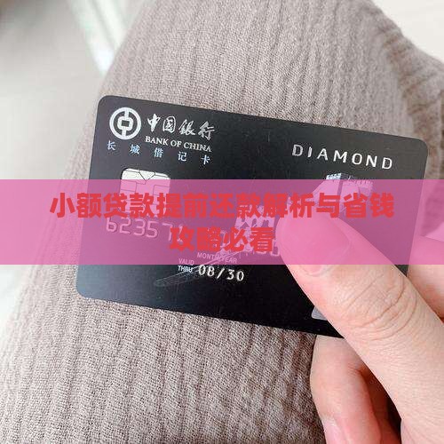 小额贷款能否提前还清 小额贷款能否提前还清