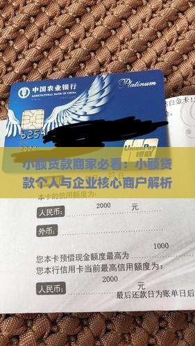 小额贷款商家