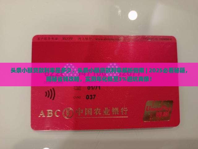 头条小额贷款利率是多少