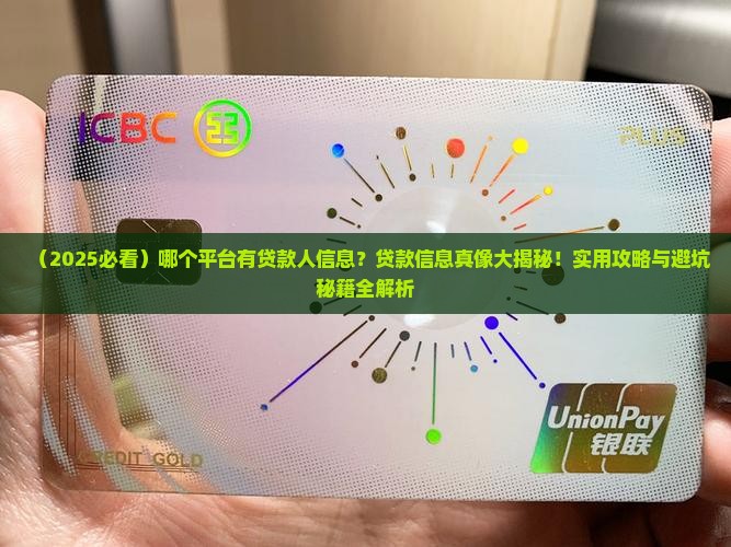 哪个平台有贷款人信息