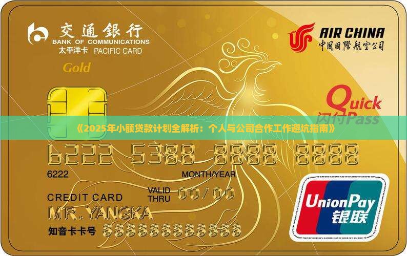 小额贷款计划个人