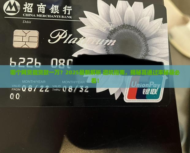 哪个网贷能贷款一万