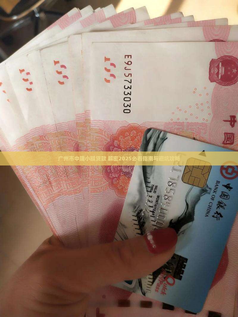 广州市中庸小额贷款
