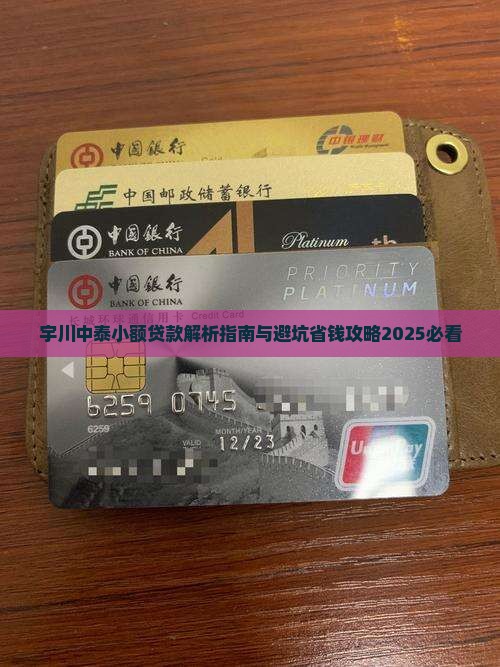 宇川中泰小额贷款