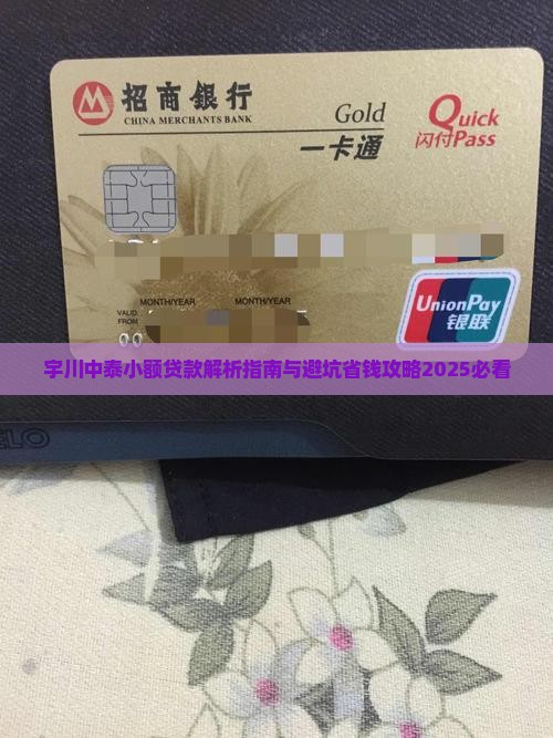 宇川中泰小额贷款