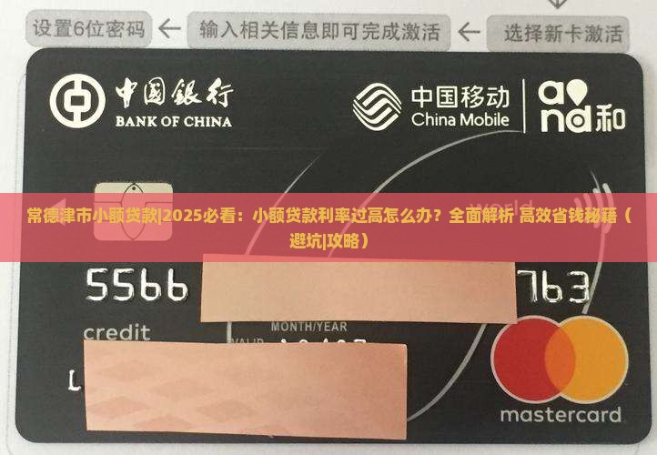 常德津市小额贷款