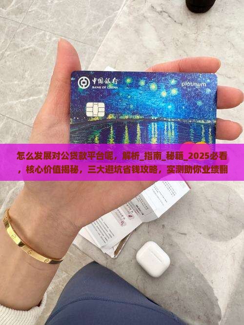 怎么发展对公贷款平台呢