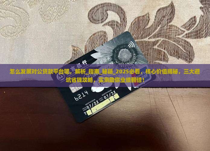 怎么发展对公贷款平台呢